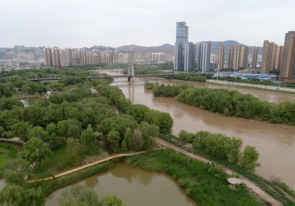 甘肃兰州:黄河岸 绿意浓 甘肃兰州:黄河岸 绿意浓