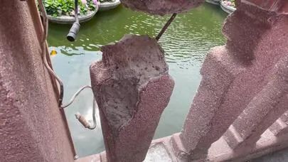 事发上海豫园，沪一4岁男孩被九曲桥“卡头”！破拆石柱引热议：是文物吗？
