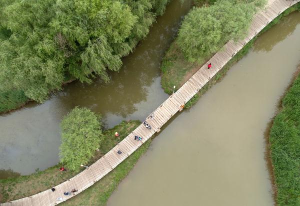 甘肃兰州:黄河岸 绿意浓 甘肃兰州:黄河岸 绿意浓