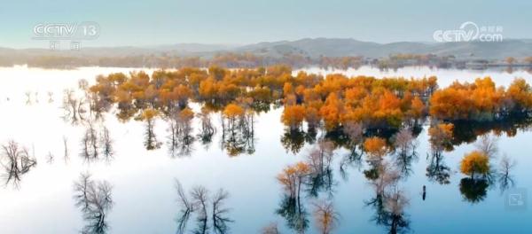 人与自然和谐共生 书写多彩生态答卷 人与自然和谐共生 书写多彩生态答卷