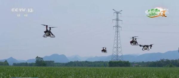 现代农业机械助力 30万亩糖料蔗进入夏管关键期
