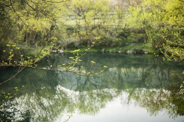 又回来了！西湖边密密麻麻的，但没想到的是...