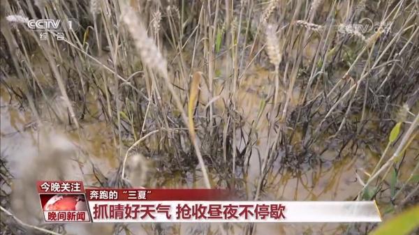 雨口夺粮的一周