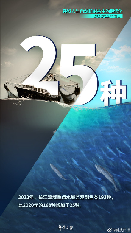 这组对比图，过于震撼！