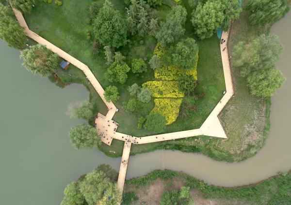 甘肃兰州:黄河岸 绿意浓 甘肃兰州:黄河岸 绿意浓