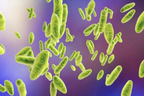 广东阿叔染“怪病”，一查是羊肉惹的祸！医生：爱吃牛羊肉的要注意！