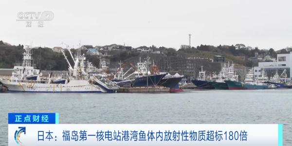 这里的鱼体内，放射性物质竟超标180倍！啥情况？