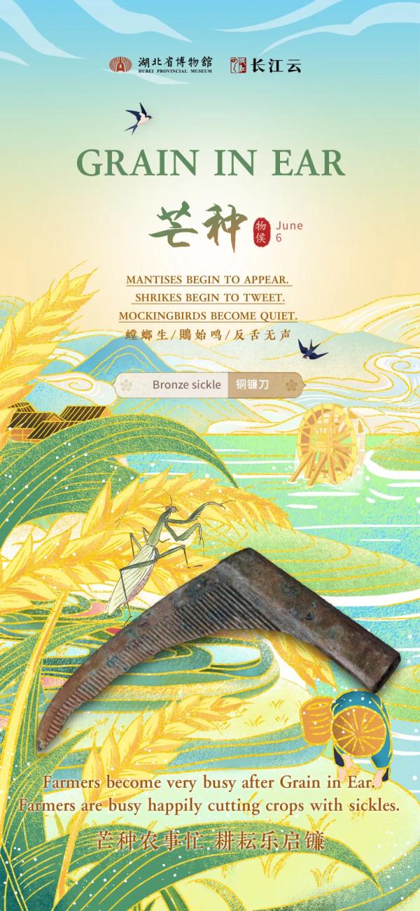 愿你所种，皆有所得