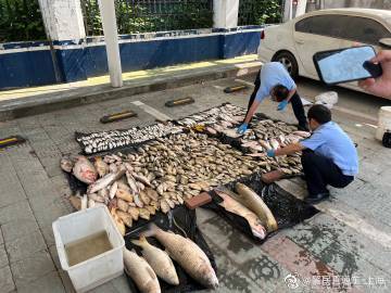 电捕鱼百余公斤，抓！