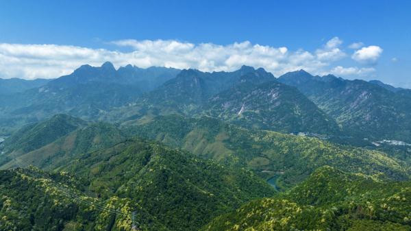 安徽黄山九龙峰：山脚下的生态“金饭碗”