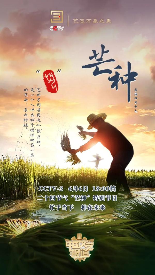 今日芒种|忙于当下 种在未来 今日芒种|忙于当下 种在未来