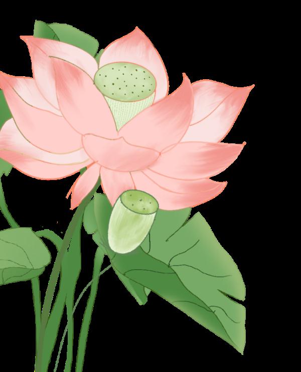 愿你所种，皆有所得