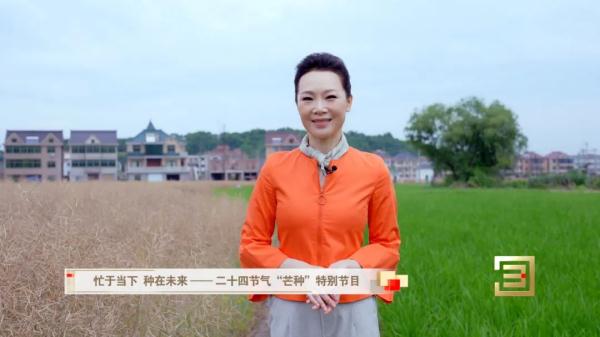 今日芒种|忙于当下 种在未来 今日芒种|忙于当下 种在未来
