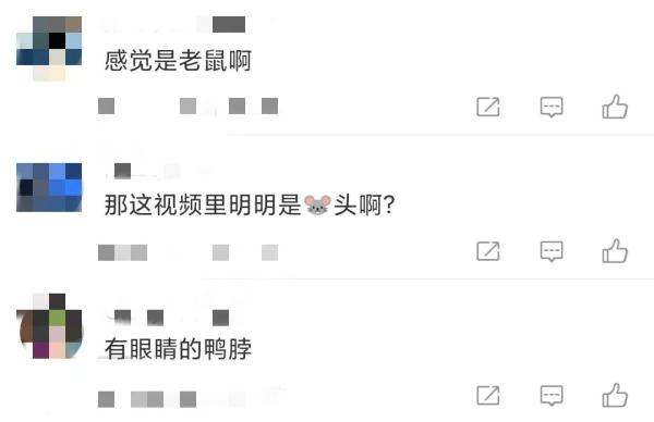 鼠头or鸭脖？多方回应，为何网友不买账？