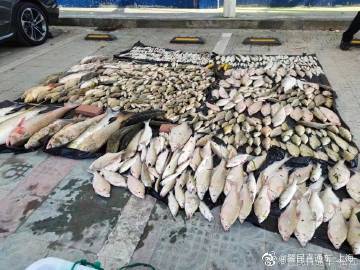电捕鱼百余公斤，抓！