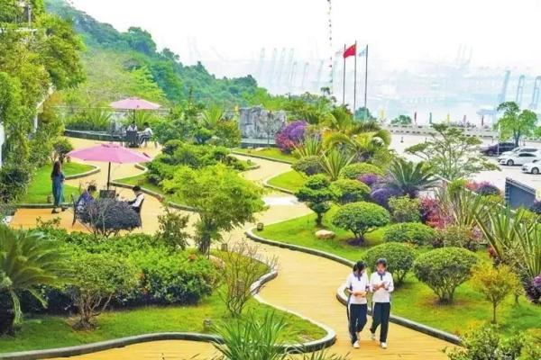 可种菜，可踢球！广东这些学校的楼顶好“犀利”