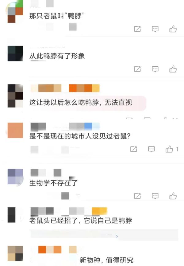 鼠头or鸭脖？多方回应，为何网友不买账？