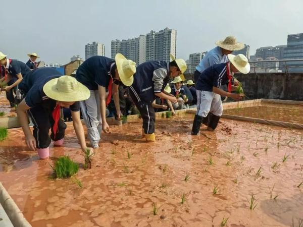 可种菜，可踢球！广东这些学校的楼顶好“犀利”