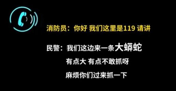 实属罕见！110向119求助，网友还想象了“梦幻联动”……