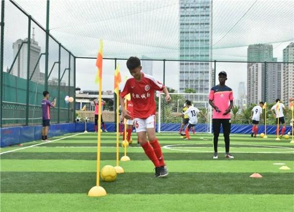 可种菜，可踢球！广东这些学校的楼顶好“犀利”