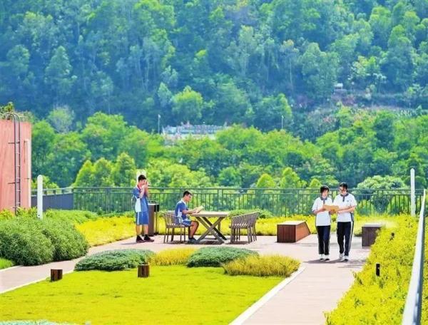 可种菜，可踢球！广东这些学校的楼顶好“犀利”