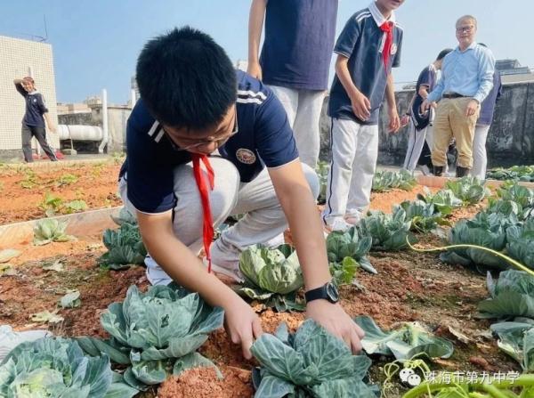 可种菜，可踢球！广东这些学校的楼顶好“犀利”
