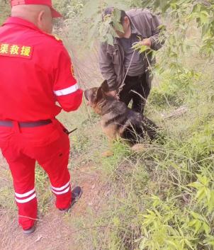 寻人！安阳22岁女子出门拿快递后失联，离家时未带身份证充电器