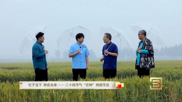今日芒种|忙于当下 种在未来 今日芒种|忙于当下 种在未来