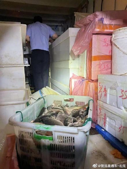 电捕鱼百余公斤，抓！