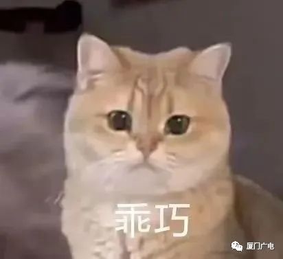 刚刚，大雨突袭鹭岛！高考期间厦门还下雨吗？最新预报→