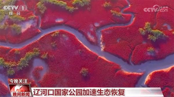 国家公园建设加速推进 野生动物越来越频繁地亮相 国家公园建设加速推进 野生动物越来越频繁地亮相