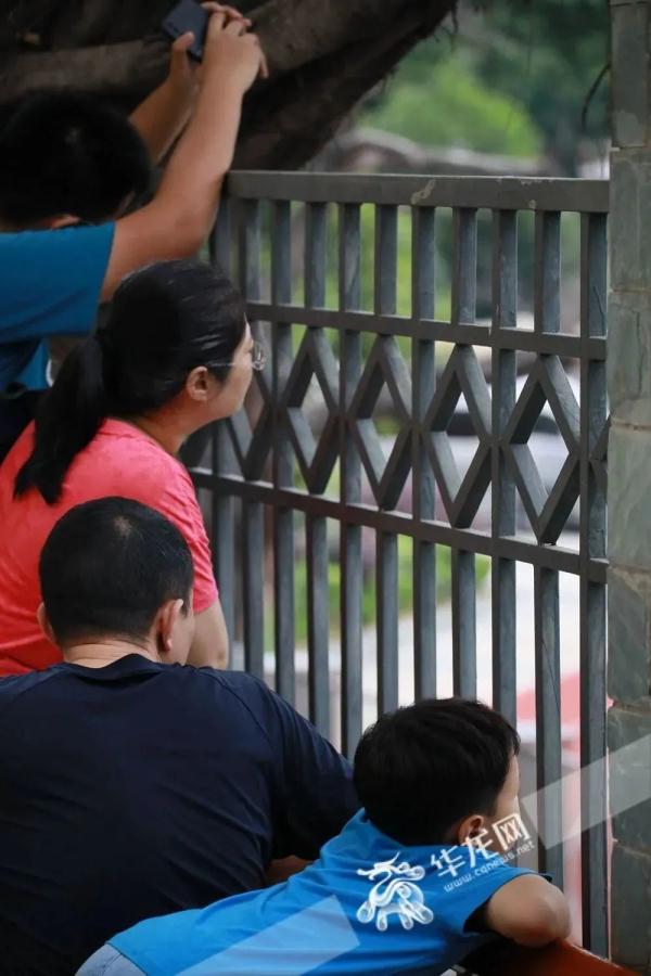 提笔上场，少年加油！重庆高考首日现场→