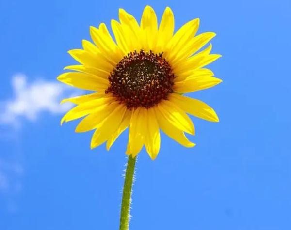 强降雨 &nbsp;冰雹 大风预警~考生家长适当增减衣物，开车出行要注意！