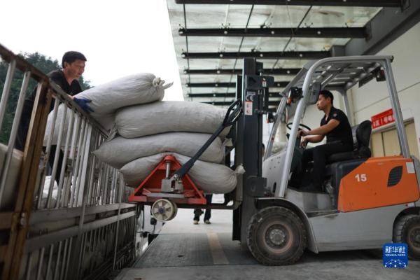 探访贵州遵义“中国辣椒城”