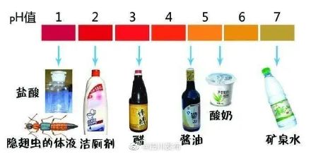 川渝地区高发！遇到这种虫子千万别打