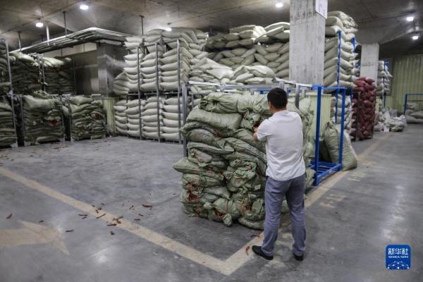 探访贵州遵义“中国辣椒城”