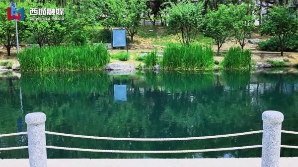 沿河徐行 | 探秘转河事