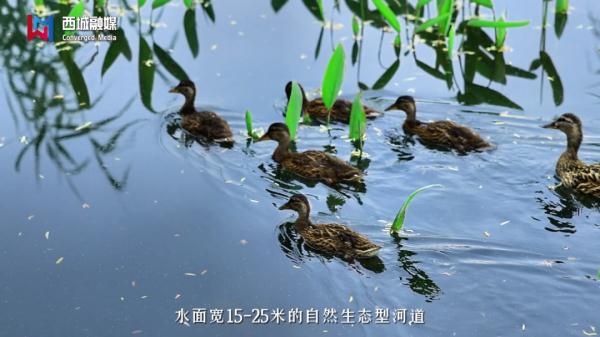 沿河徐行 | 探秘转河事