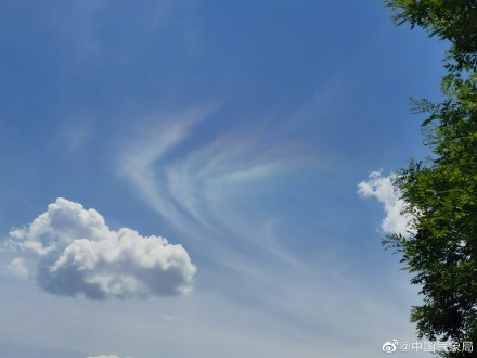 今日份奇观！甘肃华池日晕与七彩祥云同框
