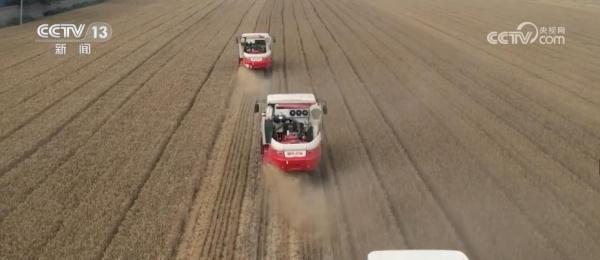 面对“烂场雨” 专家建议从四方面补足短板