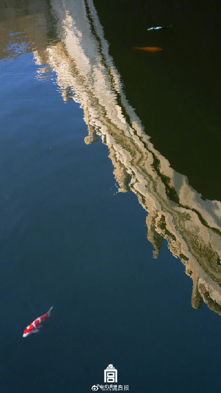 鱼跃龙门！故宫锦鲤跳出水面瞬间