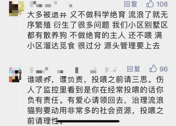 上海一小区居民被流浪狗追着跑，频遭扑咬！爱宠人士的投喂是“罪魁祸首”？