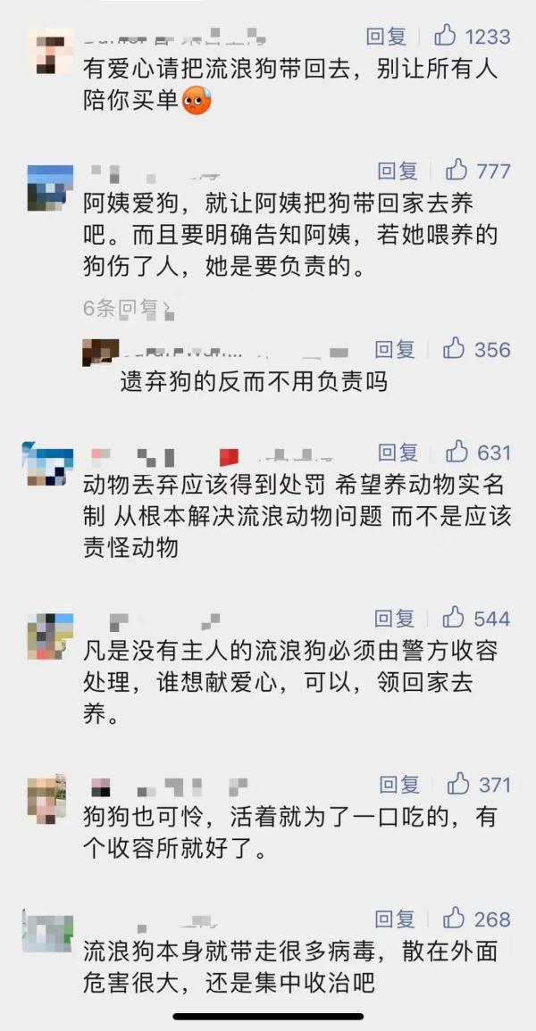 上海一小区居民被流浪狗追着跑，频遭扑咬！爱宠人士的投喂是“罪魁祸首”？