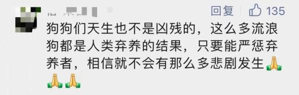 上海一小区居民被流浪狗追着跑，频遭扑咬！爱宠人士的投喂是“罪魁祸首”？