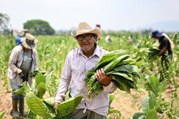 镜观世界 | 走进洪都拉斯