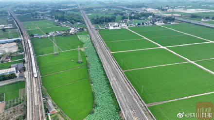 整整齐齐！航拍视角看眉山千亩农田美如画