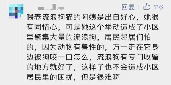 上海一小区居民被流浪狗追着跑，频遭扑咬！爱宠人士的投喂是“罪魁祸首”？