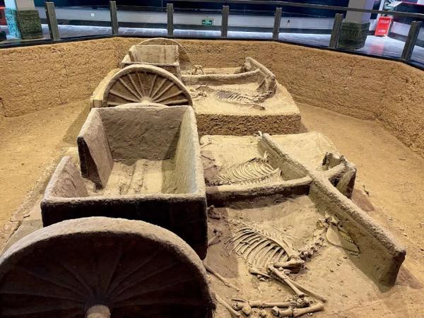 商朝为何叫商？纣王是昏君吗？至今难解车马之谜