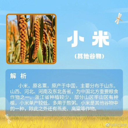 夏粮收什么?小麦以外的夏粮,你还知道哪些? 夏粮收什么?小麦以外的夏粮,你还知道哪些?