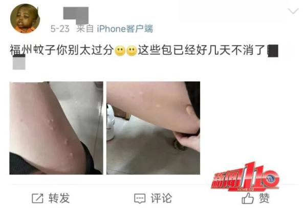太离谱！2天被咬32个包！很多福州人已崩溃